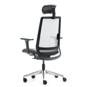 silla atom 