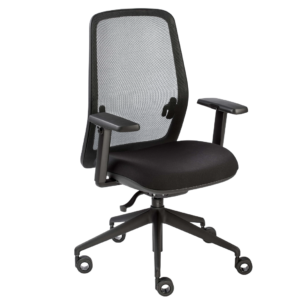 Silla Skena